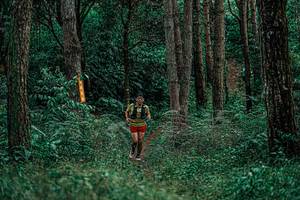 BIB: 
                            <button type="button" onclick="openModal(25237366)" class="btn btn-primary btn-sm float-right btn-popup" data-toggle="modal" data-target=".modal-high-quality">
                        <i class="fas fa-shopping-cart"></i> Add to Cart
                    </button>
                                            <button type="button" onclick="isThisMe(25237366, true)" class="btn btn-success btn-sm float-right btn-popup btn-isme hidden" data-toggle="tooltip" data-placement="bottom" title="นี่คือรูปของคุณใช่ไหม คลิกที่นี่เพื่อเอาเข้าอัลบั้ม">
                        <i class="fas fa-plus"></i> Add to album
                    </button>
                    <button type="button" onclick="isThisMe(25237366, false)" class="btn btn-warning btn-sm float-right btn-popup btn-isnotme hidden">
                        <i class="fas fa-ban"></i> Remove from album
                    </button>